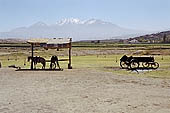Arequipa, the Countryside (La Campia)